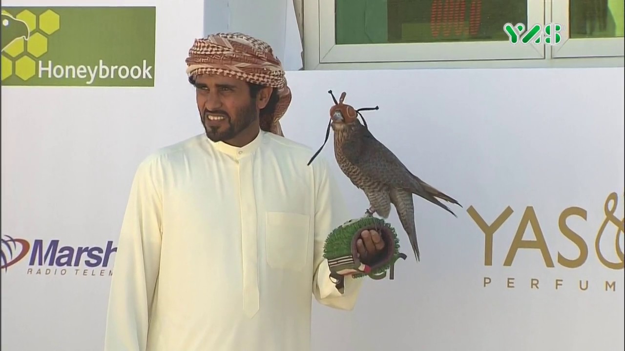 ملخص منافسات كأس رئيس الدولة للصيد بالصقور 26 يناير 2017