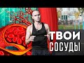 ТВОИ СОСУДЫ 🔥🔥🔥