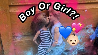 Pregnant Barbie and Ken Baby Gender Reveal!