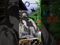 محمد راشد - ام عذاري  (يا طارشي قم شد ساري)