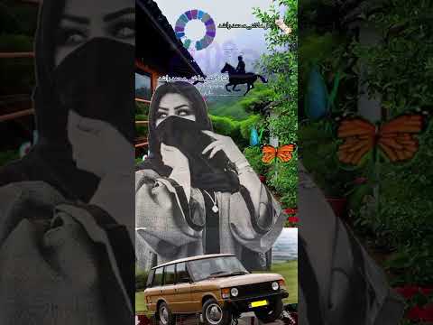 محمد راشد ام عذاري يا طارشي قم شد ساري