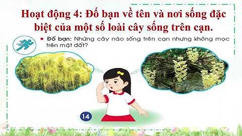 Tự nhiên và xã hội tuần 15. Bài 14: Thực vật sống ở đâu? (tiết 1, tiết 2)
