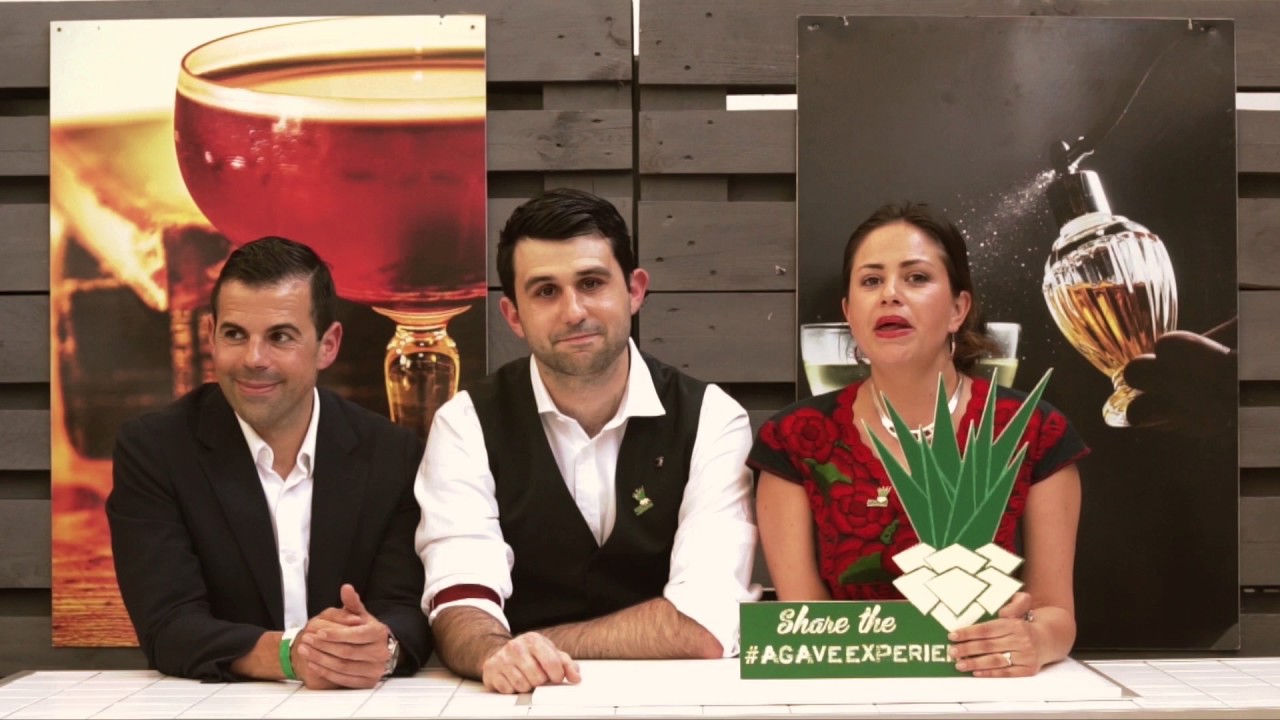 Agave Experiecne 2017 - Documentary