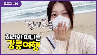 달로그 #36 (LOONA LOG #36) 최리 #36 (Choerry #36)