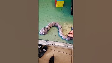 3D printed Onix made from esun pla + | Pokémon