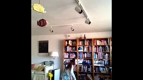 Ruth Allison dances Shoulda Had Been Me