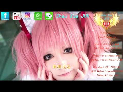 花雨落 任然【動態歌詞 Lyrics Video】