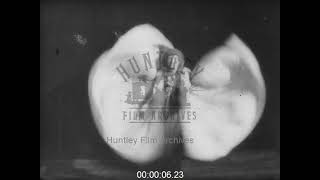 The Serpentine Dance, 1890s - Film 1011201