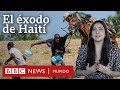Las razones del éxodo de haitianos hacia América Latina y Estados Unidos