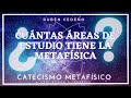 CUÁNTAS ÁREAS DE ESTUDIO TIENE LA METAFÍSICA | Catecismo Metafísico | Rubén Cedeño