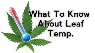 Leaf Surface Area Temp. Does it matter?