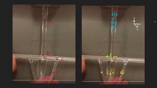 ME351 Project 1 Flow Visualization