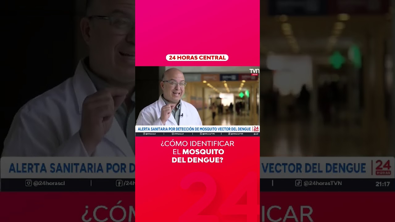 ¿Cómo identificas el mosquito del dengue? | 24 Horas TVN Chile