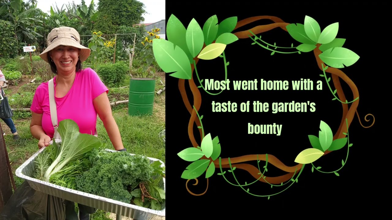 Sunflowers Community Garden, Cedros-UBL 2025