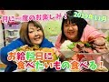 【月一企画】なんてったって給料日だから！【おでぶ飯】19年11月