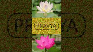 Pravya Pravya Lotus Status Pravya - Peace