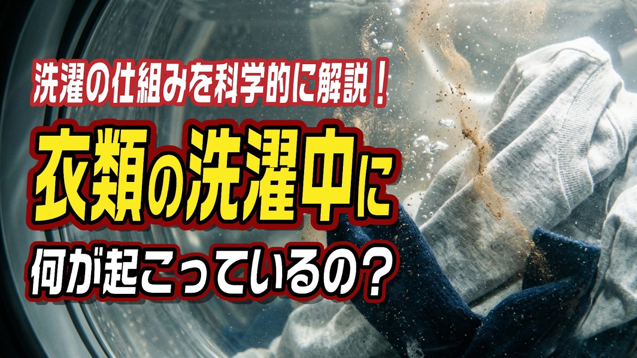洗濯の仕組みを科学的に解説！衣類の洗濯中に何が起こってるの？