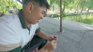 Câu Cá Hồ câu Thanh Thật - Câu cá Tra