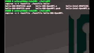 Tips and Tricks for shared Network Parallelization: MPI on HPCC