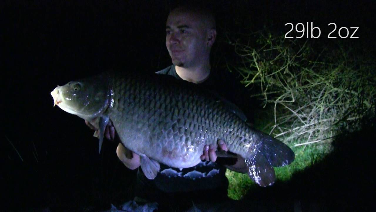 'Heron' Lake Great Linford Lakes 27hr session October 2016 YouTube