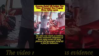 Screams, Sealed Life Jackets: New Video Of Jabalpur Boat Tragedy Shows Safety Lapses