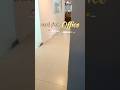 Work From Office day | #dailyvlog #newvideo #vloglife #tranding #viral #viralvideo #viralshorts
