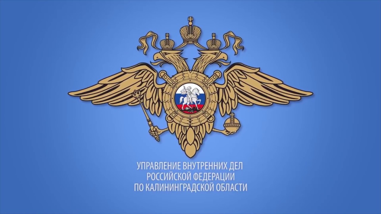 Министерство гу мвд. Герб полиции. Герб МВД России. Органы внутренних дел эмблема.