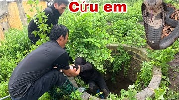 Cuộc Gọi Khẩn Cấp Của Cô Gái Khi Phát Hiện Cặp Rắn Khổng Lồ Trong Giếng Hoang Cạn Nước