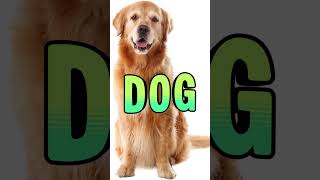Which animal Guess in 3 seconds!