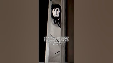 The Locust - Doctor Nowhere