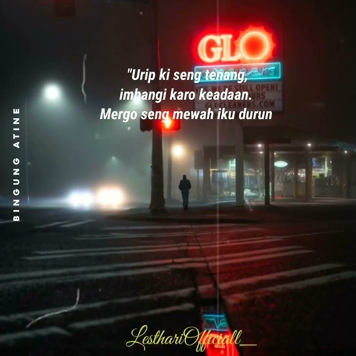 Story WhatsApp ' Bojo loro'