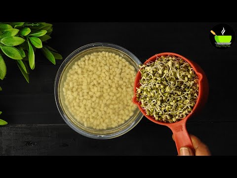 Bored of having idli dosa every morning? Try this healthy breakfast | Sprouted Moong Appe |Breakfast | She Cooks