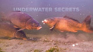 The Secrets of Underwater Fishing: Tips and Tricks for Success