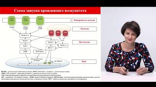 видео: Дисплазия шейки матки у беременных. картинка: Дисплазия шейки матки у беременных.