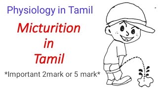 Micturition reflex in Tamil / Nerve supply and Anatomy of urinary bladder and urethra in Tamil