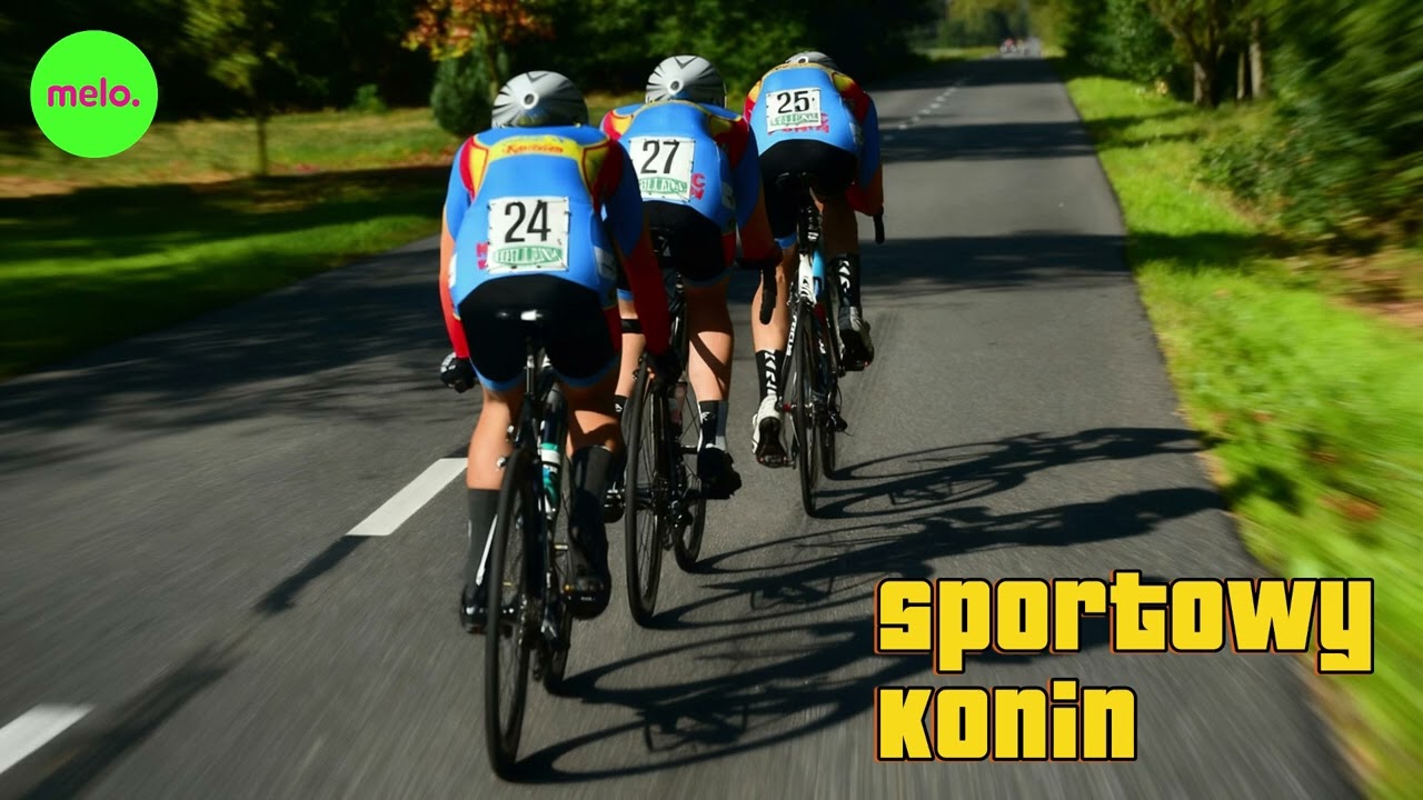 Sportowy Konin – 26.02.2026 | Historia konińskiego kolarstwa