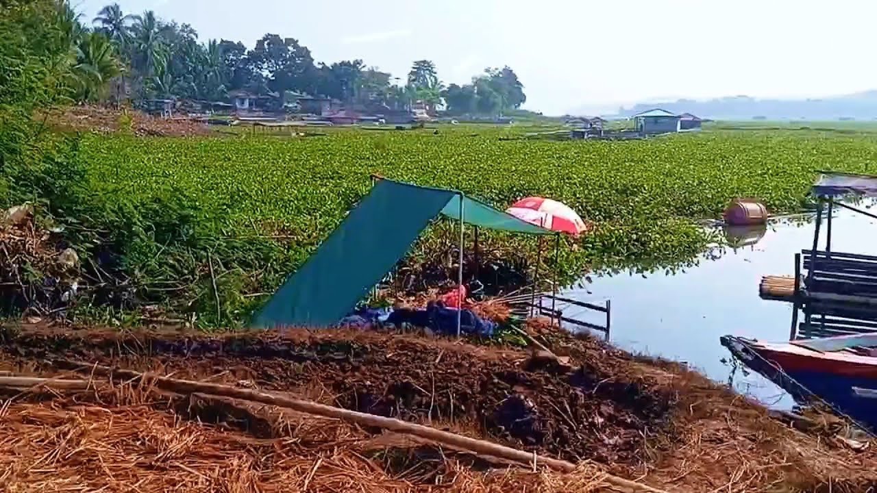 Spotnya bener-bener meledak 🔥 mancing cirata terbaru 