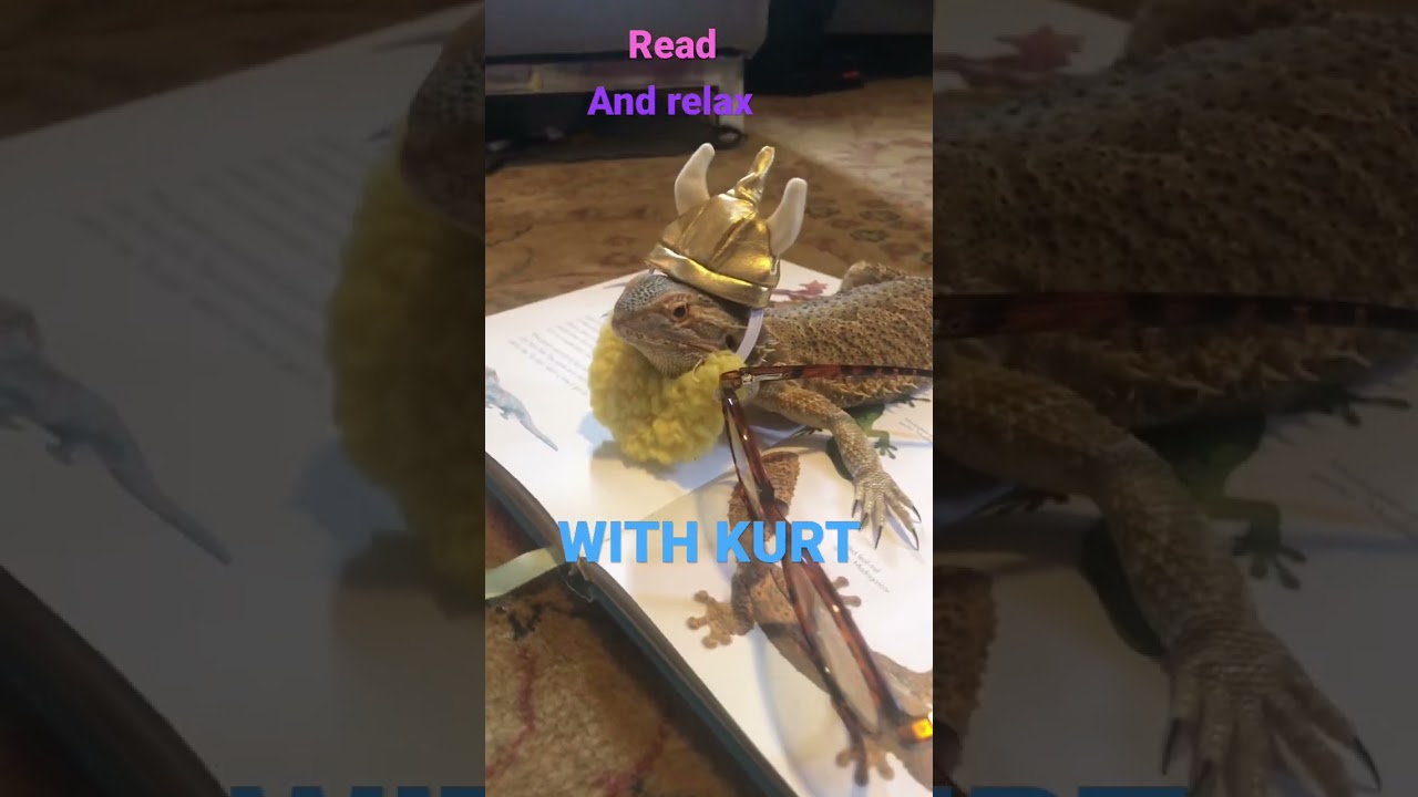 Even mighty Vikings have to read!📖🦎