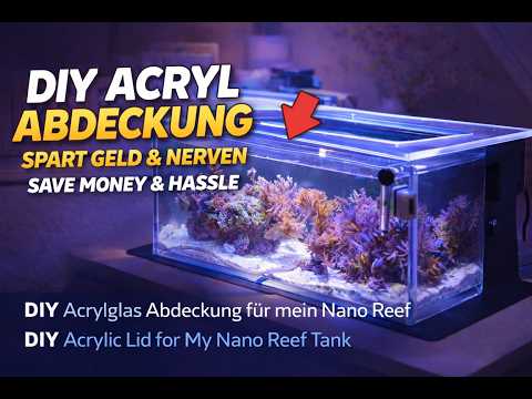 Günstig & Edel: Die perfekte DIY Aquarium Abdeckung aus Acryl für dein Becken