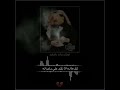 أبوبكر سالم بالفقيه واويح نفسي