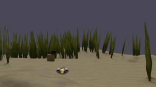 PUFFER FISH TEST 3