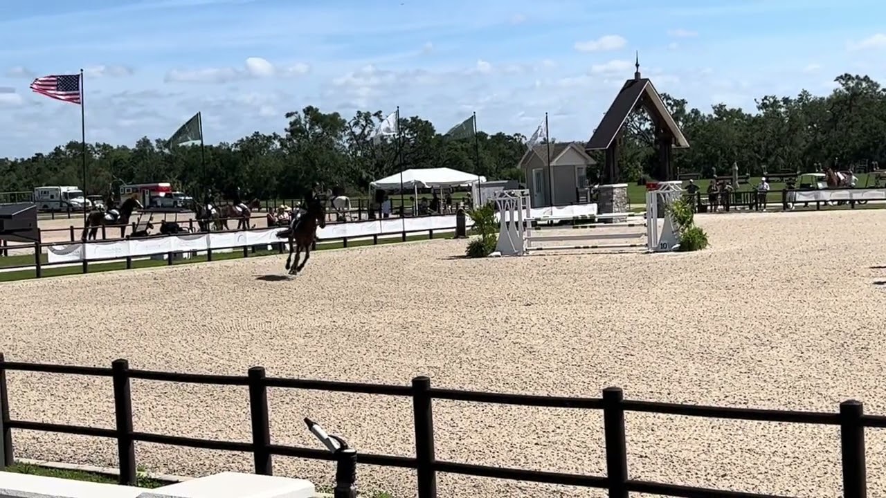 HSH Limited Edition TerraNova CCI2*-S Show Jumping