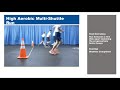 Air force cardiovascular component high aerobic multishuttle run hamr