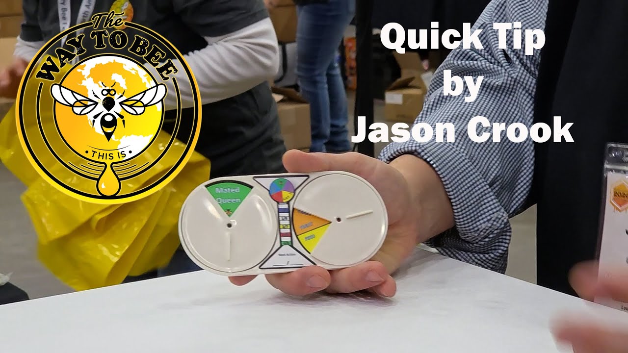 Queen Right Dial Explained by Jason Crook of Bohemia Bees