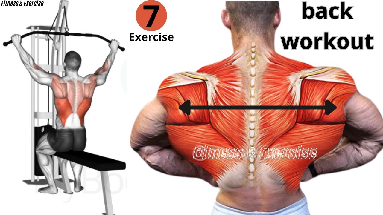 Detonate the back muscle with 7 amazing bodybuilding exercises how To