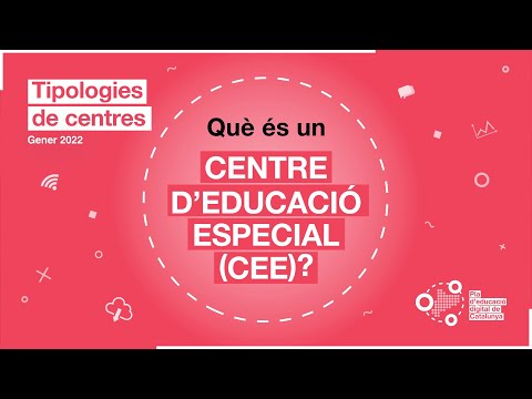 Vídeo: Què s'entén per educació especial?