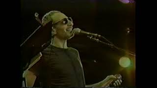 Steely Dan - Black Cow | Live at Nissan Pavilion at Stone Ridge | Manassas, VA | 1996