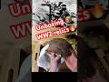 WW2 German License Plate, M40 Remains & Rusted M42 Helmet – Unboxing