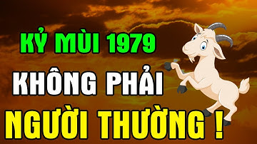 Kỷ Mùi 1979 – Vận Mệnh Đầy Thăng Trầm, Nhưng Cuối Đời Hưởng Trọn Đại Phúc nếu Biết Sớm Điều Này !
