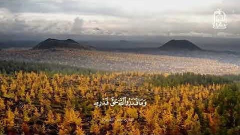 تلاوة عطرة   وما قدروا الله حق قدره  القارئ عمر دريويز